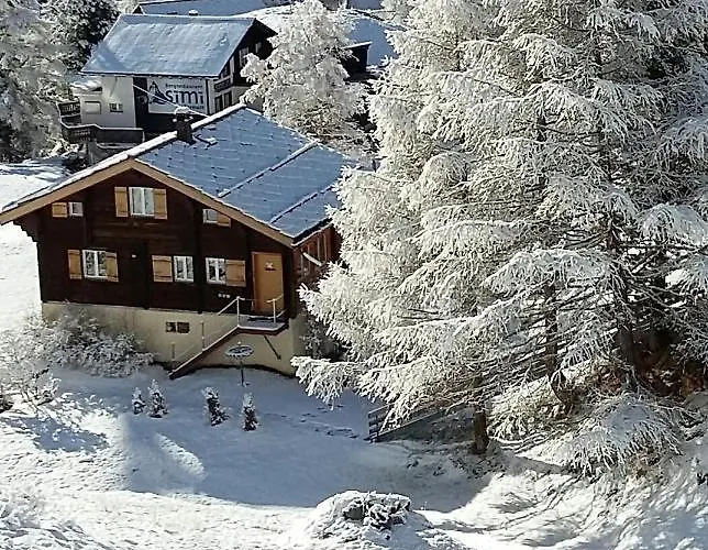 Samson * 체르마트