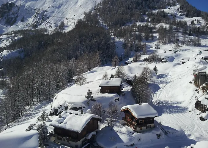 Samson * 체르마트