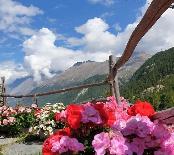 木屋 参孙木屋酒店