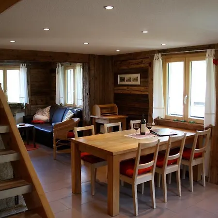 Dağ evi Samson Zermatt